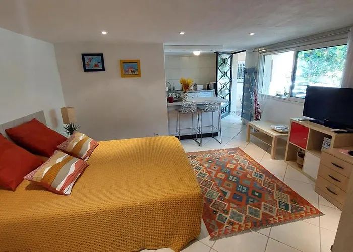 Independant Pres Du Centre ニーム